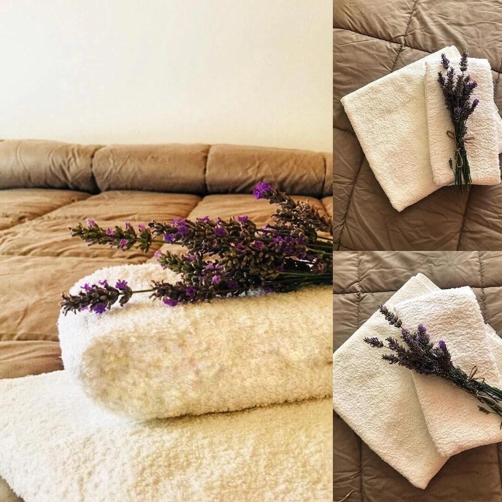 רימיני Hotel Losanna מראה חיצוני תמונה